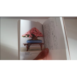 Libro de Bonsai en japonés