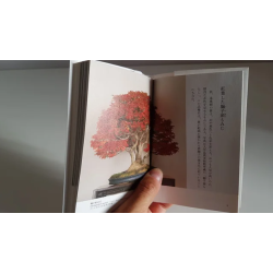 Libro de Bonsai en japonés