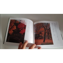 Jardines de Kyoto en japonés Kyoto, its scenic bea