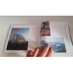 Jardines de Kyoto en japonés Kyoto, its scenic bea