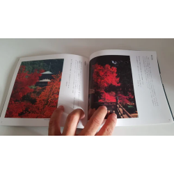 Jardines de Kyoto en japonés Kyoto, its scenic bea