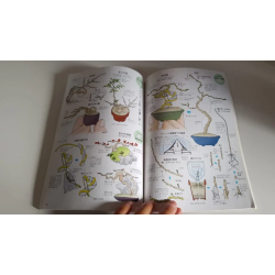 Revista Bonsai World 2 año 2012