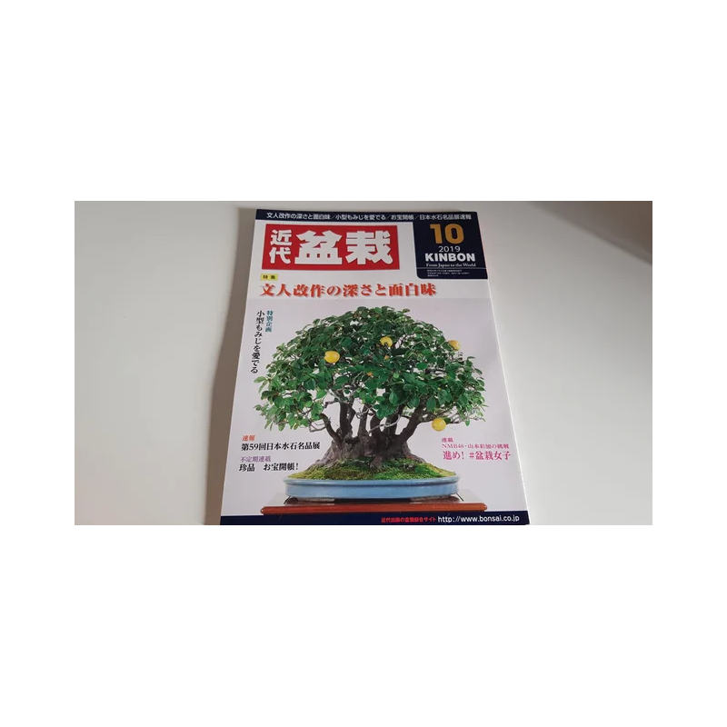 Revista Bonsai 2019 KINBON 10