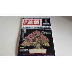 Revista Bonsai 2019 KINBON 5