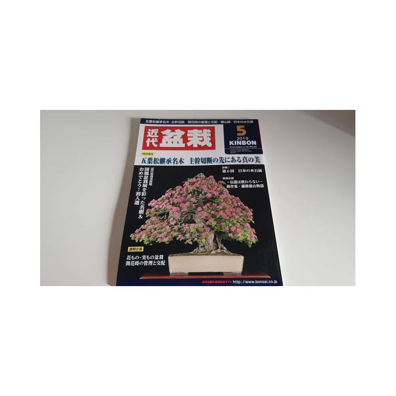 Revista Bonsai 2019 KINBON 5