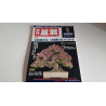 Revista Bonsai 2019 KINBON 5