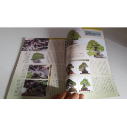 Revista Bonsai 2019 KINBON 5
