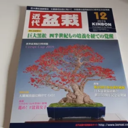 Revista Bonsai 2019 KINBON 12