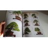 Revista Bonsai 2019 KINBON 12