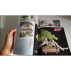 Revista Bonsai 2020 KINBON 2