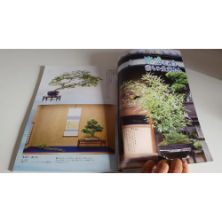 Revista Bonsai 2019 KINBON 8