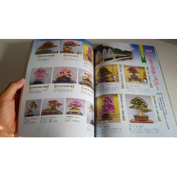 Revista Bonsai 2019 KINBON 8