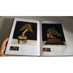Libro de Bonsai «Premio Olea» 2005