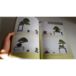 Revista Bonsai 2019 KINBON 9