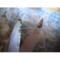 Limpiador herramientas Carburo «Crean Mate»