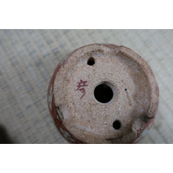 Maceta «Hikosanjin» 6×3 para Bonsai