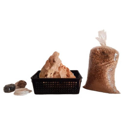 Kit ISHITSUKI URBANO Bonsai...