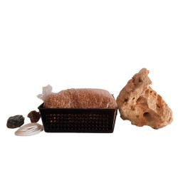 Kit ISHITSUKI URBANO Bonsai Zero