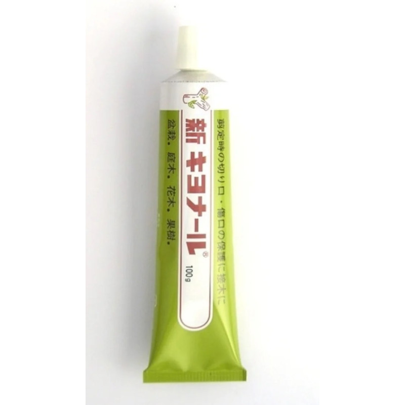 Cicatrizante Shin-Kiyonal 100 g