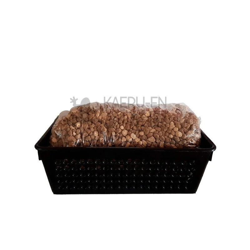 Kit cultivo en coladores RECTANGULAR para BONSAI