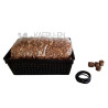 Kit cultivo en coladores RECTANGULAR para BONSAI