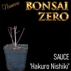 Sauce 'Hakuro Nishiki' |...