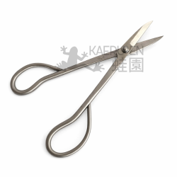 RYUGA Tijera pequeña 179 mm inox.