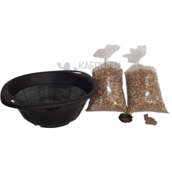 Arce Campestre | Bonsai Zero colador REDONDO