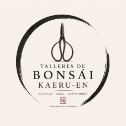 Taller Kaeru-En Madrid 25...