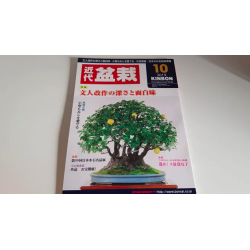Revista Bonsai 2019 KINBON 10
