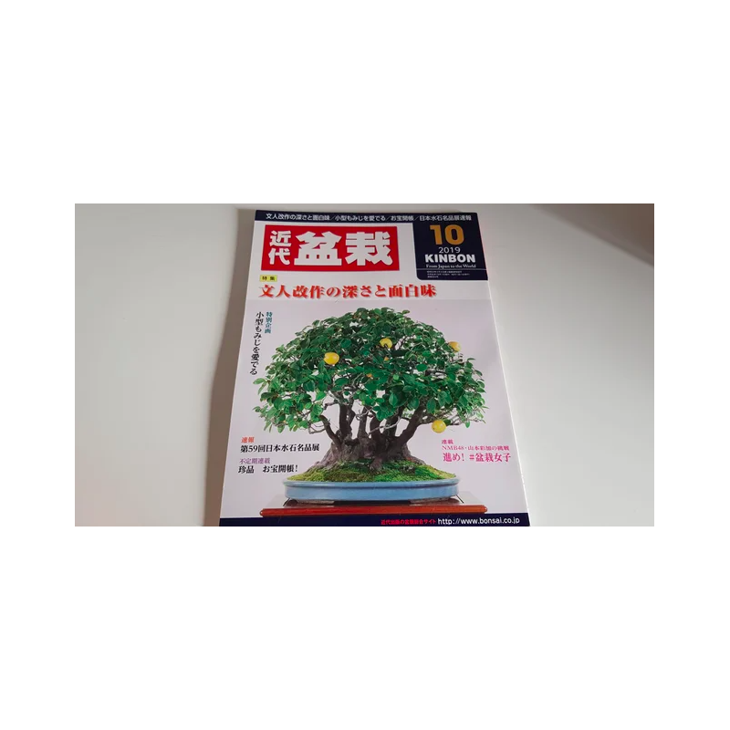 Revista Bonsai 2019 KINBON 10