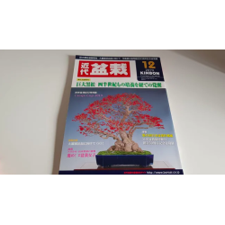 Revista Bonsai 2019 KINBON 12