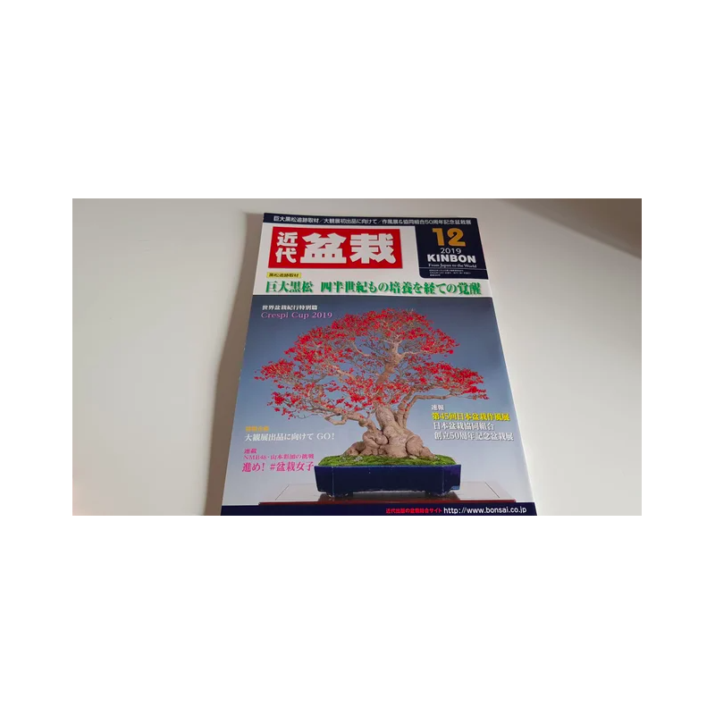 Revista Bonsai 2019 KINBON 12