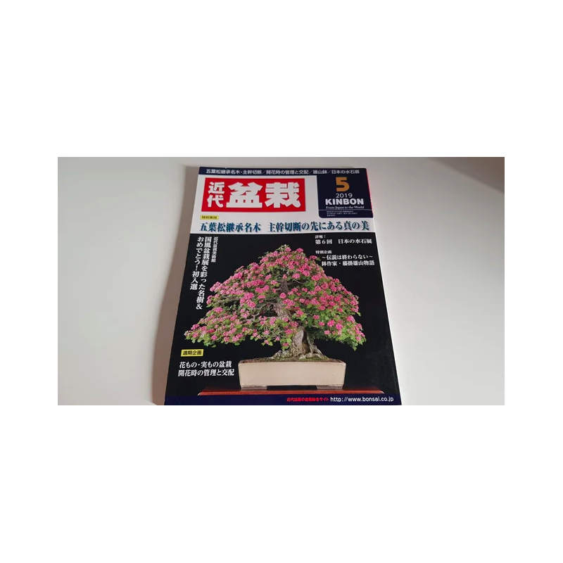 Revista Bonsai 2019 KINBON 5
