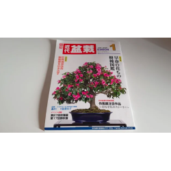 Revista Bonsai KINBON 1...