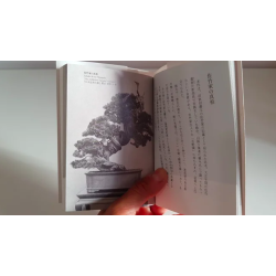 Libro de Bonsai en japonés