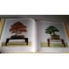 Libro KOKUFU TEN Bonsai 61