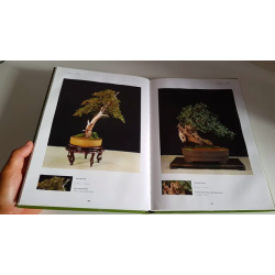 Libro de Bonsai "Premio Olea" 2005