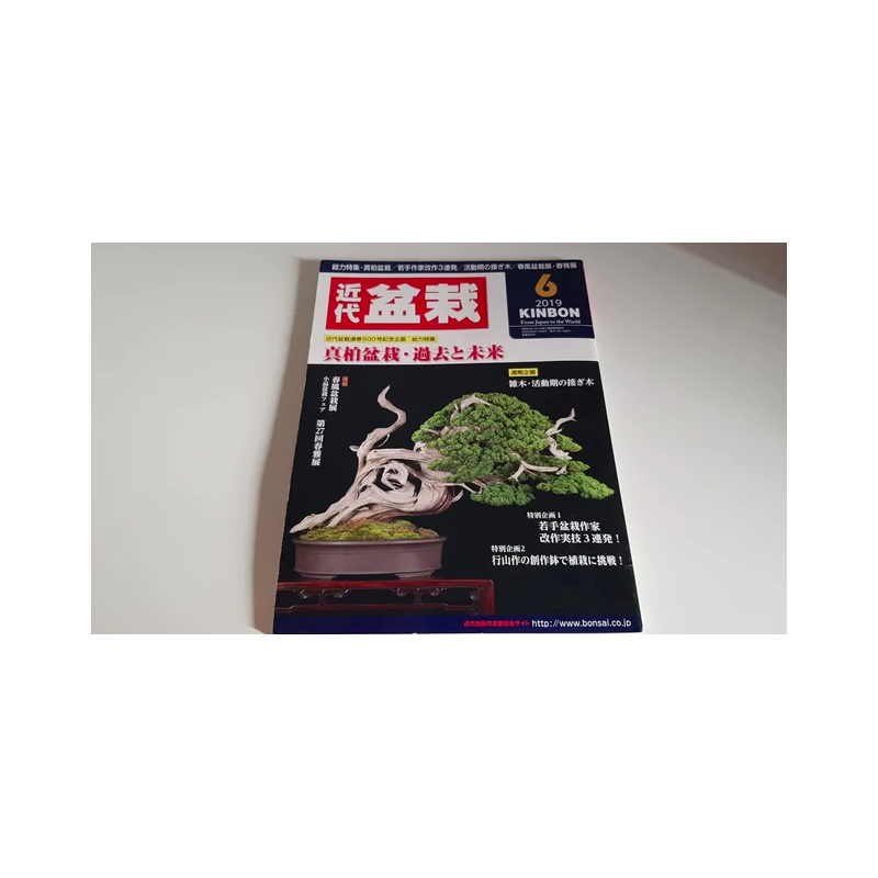 Revista Bonsai 2019 KINBON 6