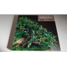 Libro KOKUFU TEN Bonsai 66