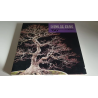 Libro KOKUFU TEN Bonsai 66