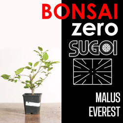 Kit Bonsai Zero SUGOI Malus...
