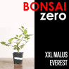 Kit Bonsai Zero XXL Malus Everest (colador redondo)