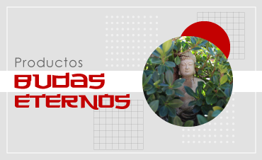 budas-eternos.png